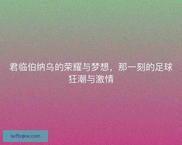 君临伯纳乌的荣耀与梦想，那一刻的足球狂潮与激情