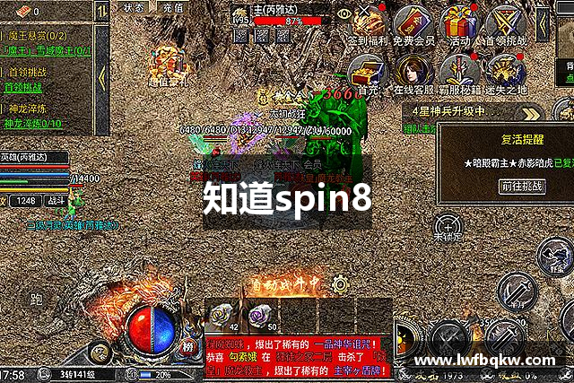 知道spin8